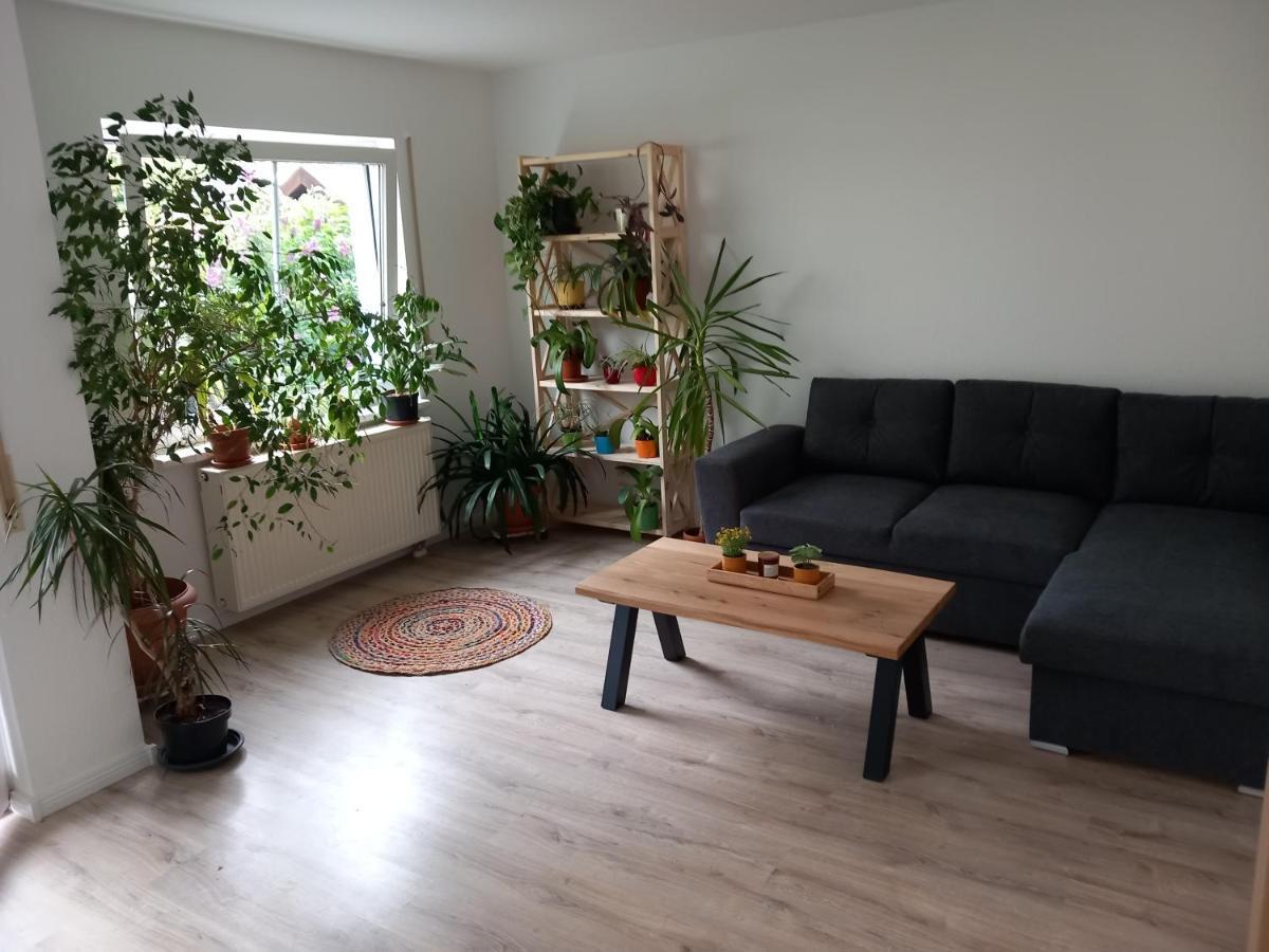Casa Del Sol * Leipzig